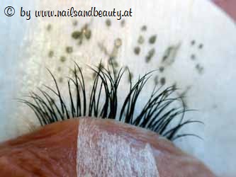 Schlupflieder Nachher